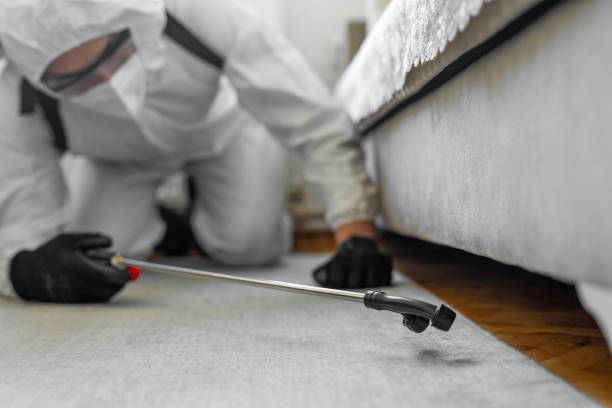 Professional Bed Bug Control technician working in King William County County, VA